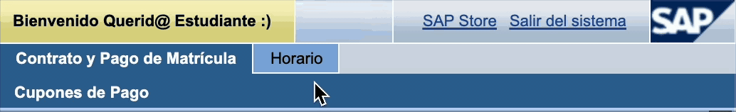 Selección de pestaña horario.gif